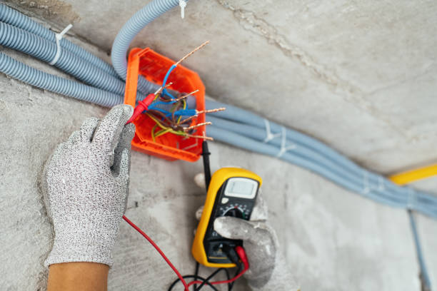 Best Affordable Electrician  in Fern Park, FL